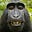 Mico Selva's avatar
