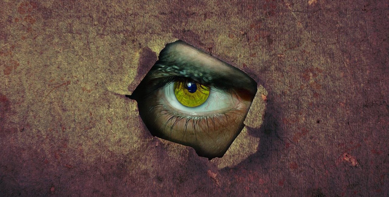 Saturday Report 5/17/25 — Trump ordered 15K workers to snitch and not a one did...