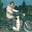 Marty Pilott's avatar