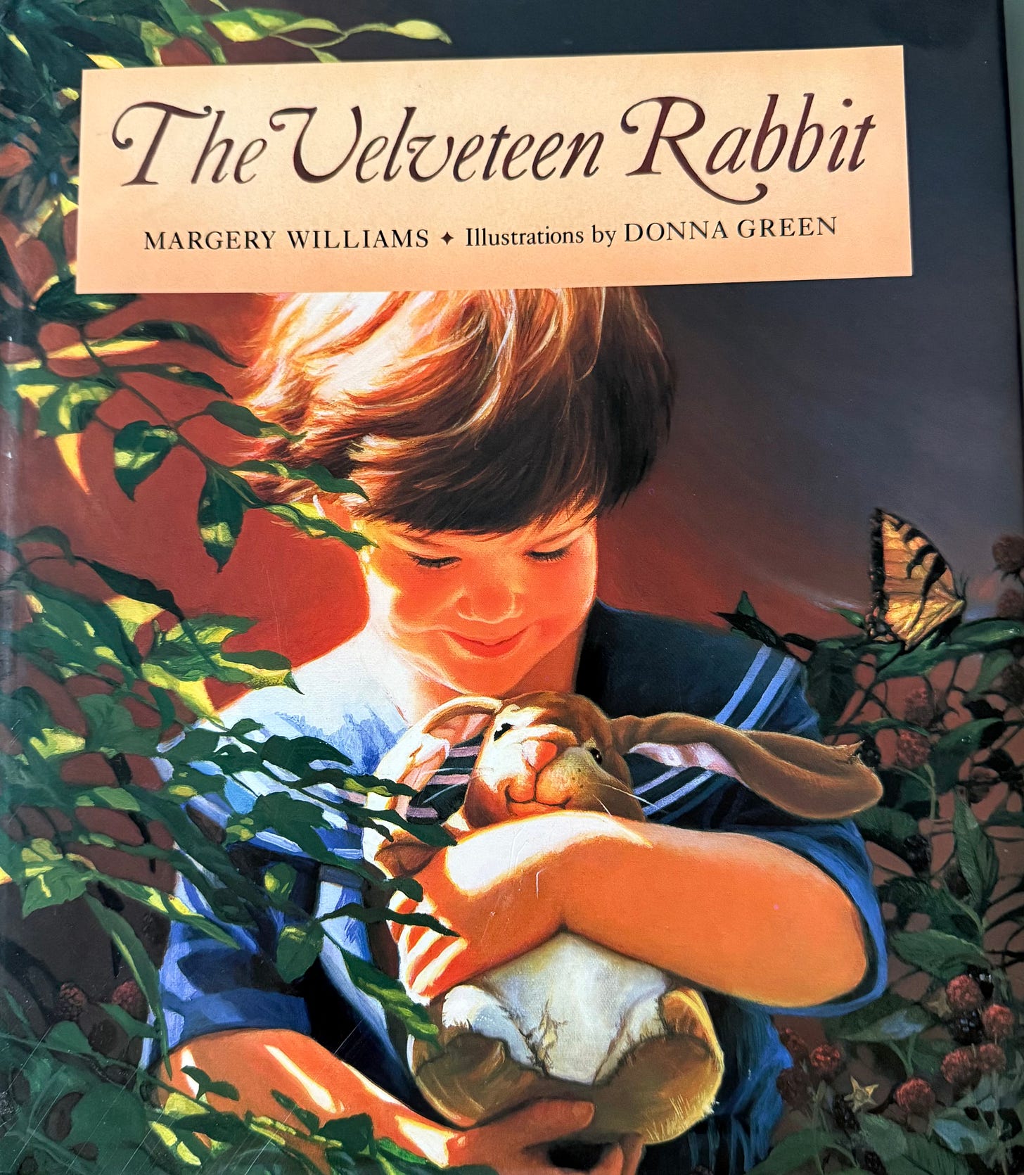 Velveteen Rabbit children's book cover