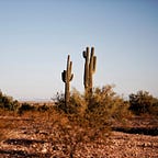 The Signorile Report 