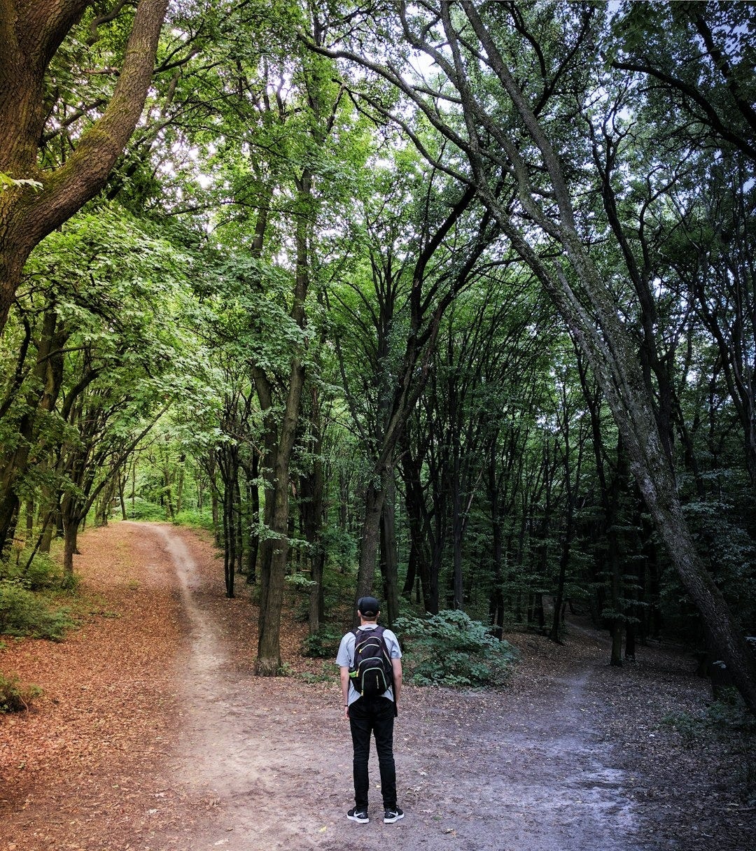 man standing in the middle of woods