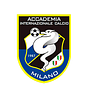 AccademiaInternazionaleCalcio's avatar