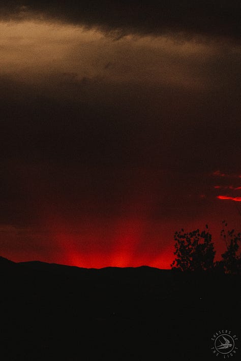 #fuji #fujix100f #fujifilm #filmy #tylerknott #tylerknottgregson #chasersofthelight