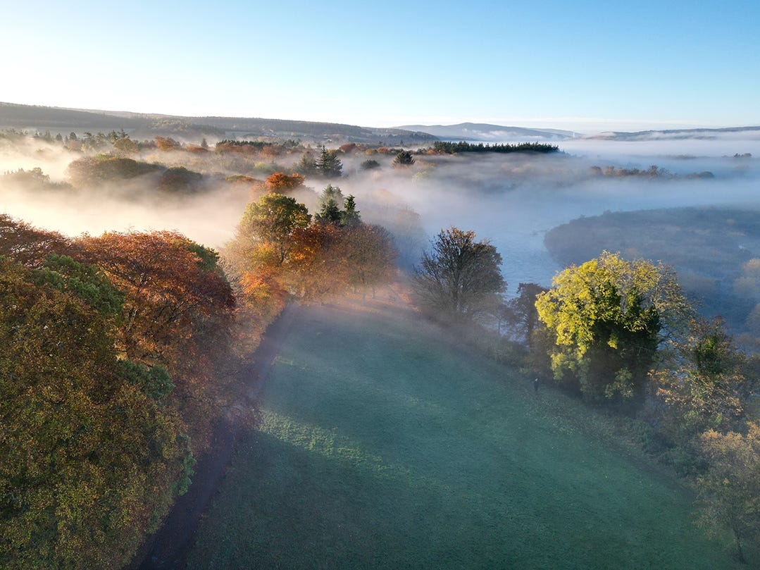 Foggy morning Scotland