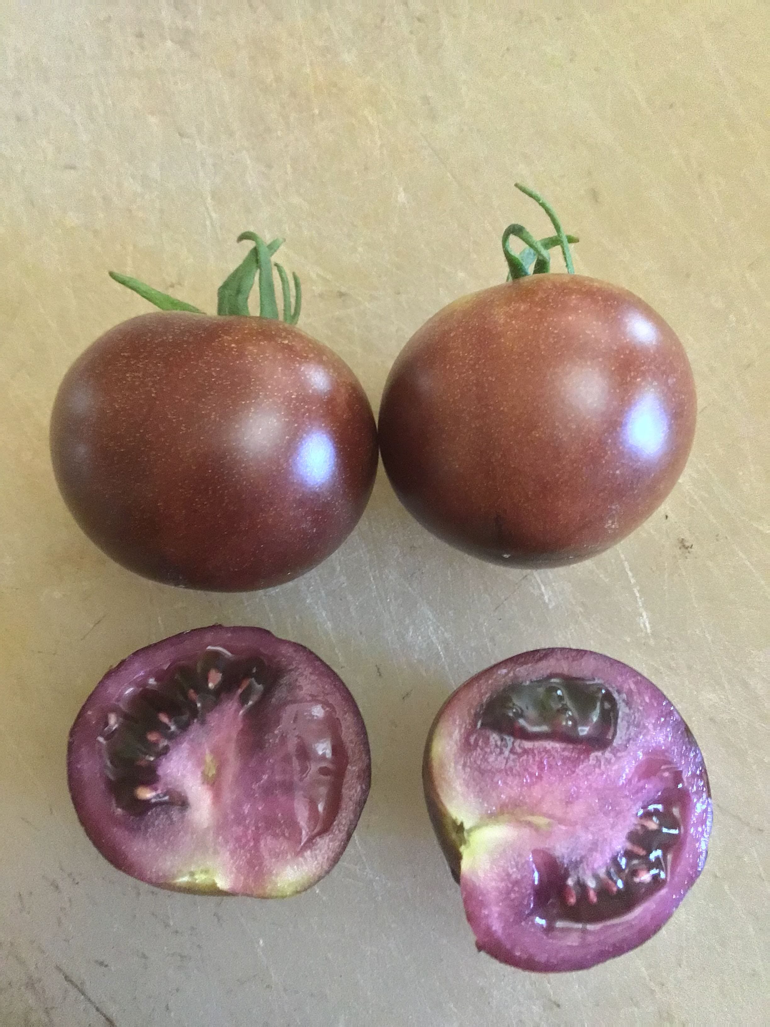 The 2026 Tomato Preview Show! - by Fred Hoffman