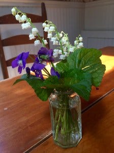 IMG_7657 IMG_7657