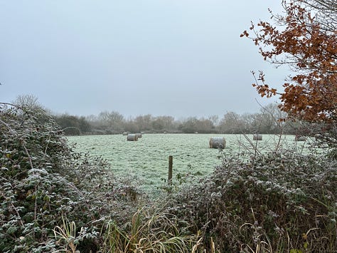 Scenes of winter frost and chilly, misty air along Oxford cycle paths.