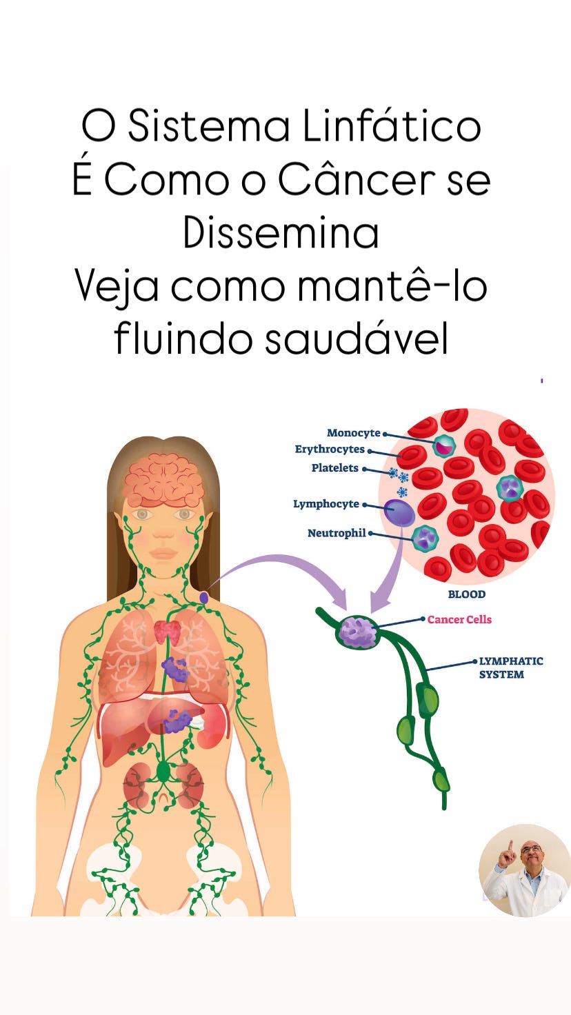 Qual o papel do sistema linfático na progressão do câncer?