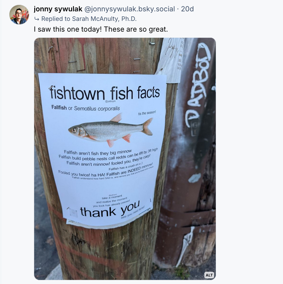 A Bluesky post about neighborhood fliers sharing facts about specific species of fish. A Bluesky post about neighborhood fliers sharing facts about specific species of fish.