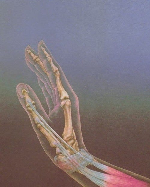 nevver:
“Anatomically correct, Teri J. McDermott
”