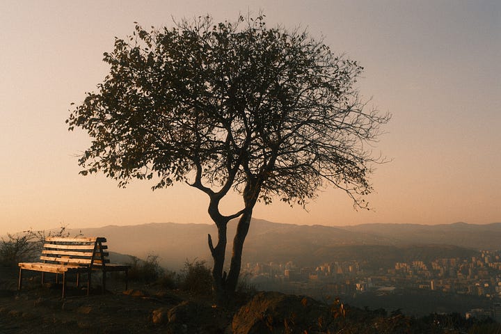 Are this pictures perfect if we do not compare of