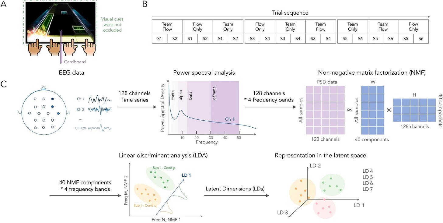 On the same wavelength: Neural 'Fingerprints' indicate deep focus flow states in teams