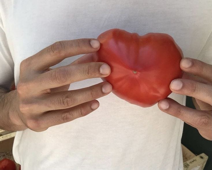 This may contain: a person holding a heart shaped object in their hands