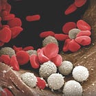 A pathologist's perspective (part 2 of 3)