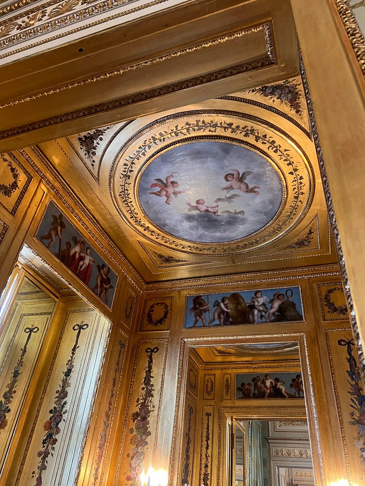 girl taking mirror selfie in ornate room // room with ornate walls and ceiling
