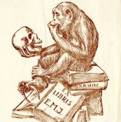 \ud835\udc6a\ud835\udc90\ud835\udc88\ud835\udc8a\ud835\udc95\ud835\udc82\ud835\udc93\ud835\udc86 \ud835\udc71\ud835\udc96\ud835\udc93\ud835\udc86 \ud835\udc6f\ud835\udc96\ud835\udc8e\ud835\udc82\ud835\udc8f\ud835\udc8a\ud835\udc95\ud835\udc82\ud835\udc94