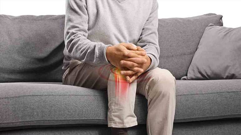 krill oil osteoarthritis