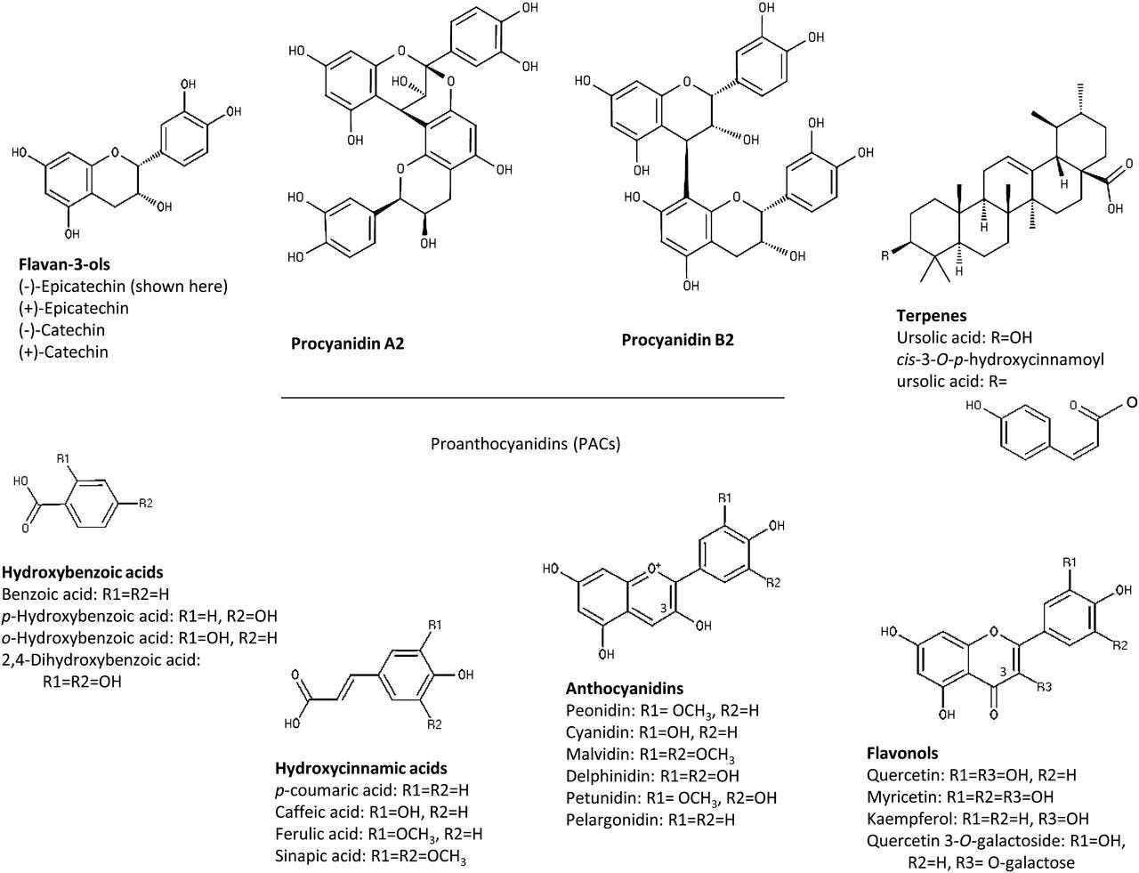 Cranberry bioactives. R in each structure indicates a point of variation within that class of bioactives, and these variations are defined underneath each structure. Cranberry bioactives. R in each structure indicates a point of variation within that class of bioactives, and these variations are defined underneath each structure.