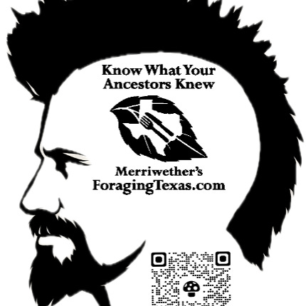 Merriwether’s Substack