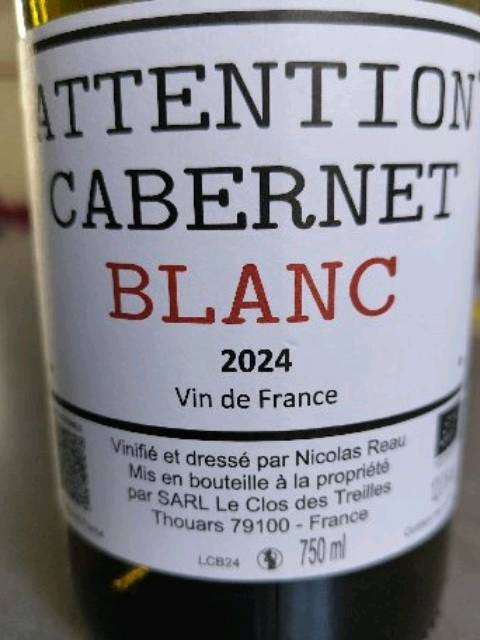 Nicolas Réau Attention Cabernet Blanc | Vivino US