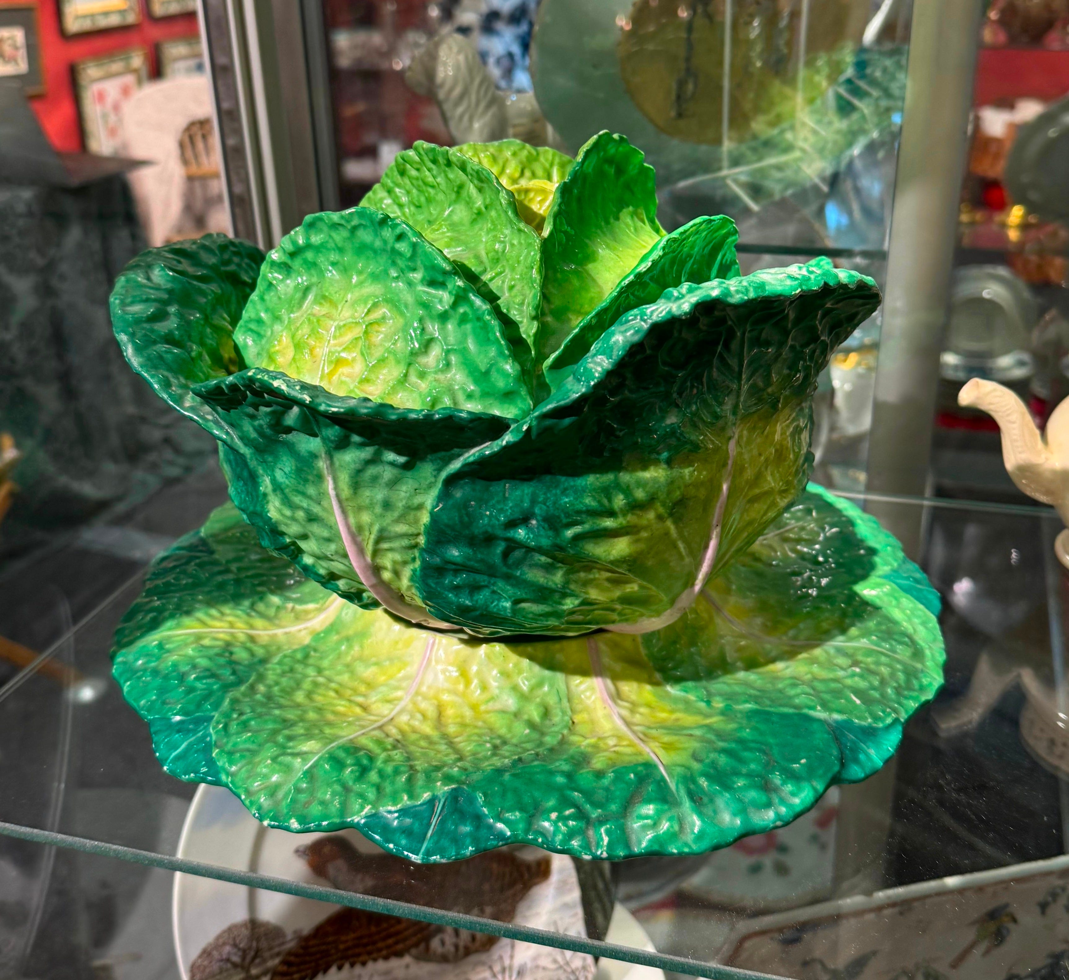 イタリア製　手描きの鉢カバー（SELECTED by NBC） Ode to the Humble Cabbage - by Libby Callaway
