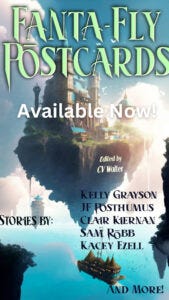 Fanta Fly Postcards Cover Fanta Fly Postcards Cover