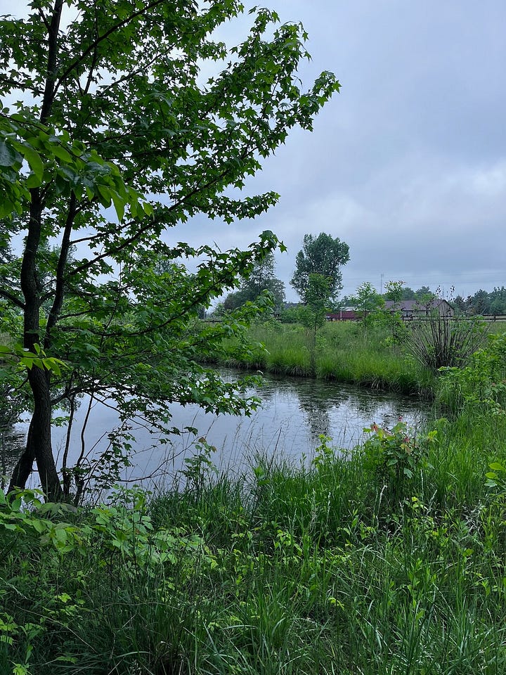 four pictures of lakes and ponds