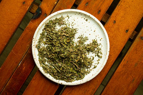 Recipe for nuts spiced with wild sweetfern, shot by JB Douglas for The Wild Grocery