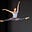Kimberly Marie Olivier's avatar