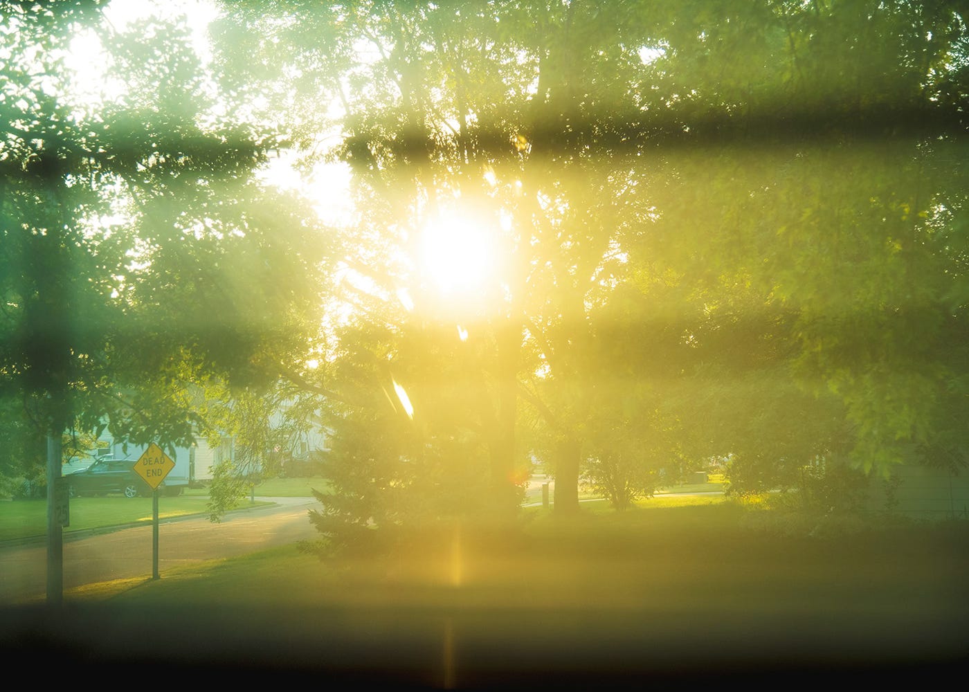 Looking through an unfocused window blind at the sun streaming through the trees Looking through an unfocused window blind at the sun streaming through the trees