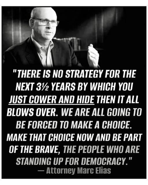May be a black-and-white image of 1 person and text that says '"THERE IS NO STRATEGY FOR THE NEXT 312 YEARS BY WHICH yo JUST COWER AND HIDE THEN IT ALL BLOWS OVER. WE ARE ALL GOING TO BE FORCED TO MAKE A CHOICE. MAKE THAT CHOICE NOW AND BE PART OF THE BRAVE, THE PEOPLE WHO ARE STANDING UP FOR DEMOCRACY." Attorney Marc Elias'