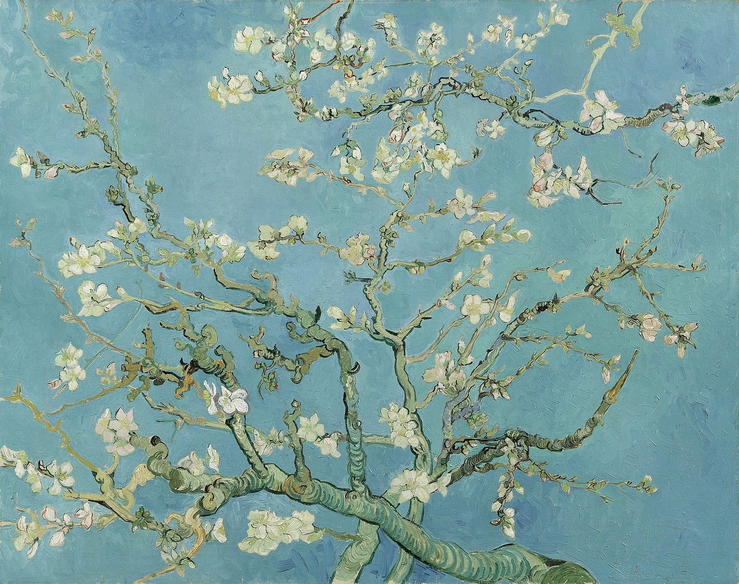 Van Gogh almond blossoms against blue sky Van Gogh almond blossoms against blue sky