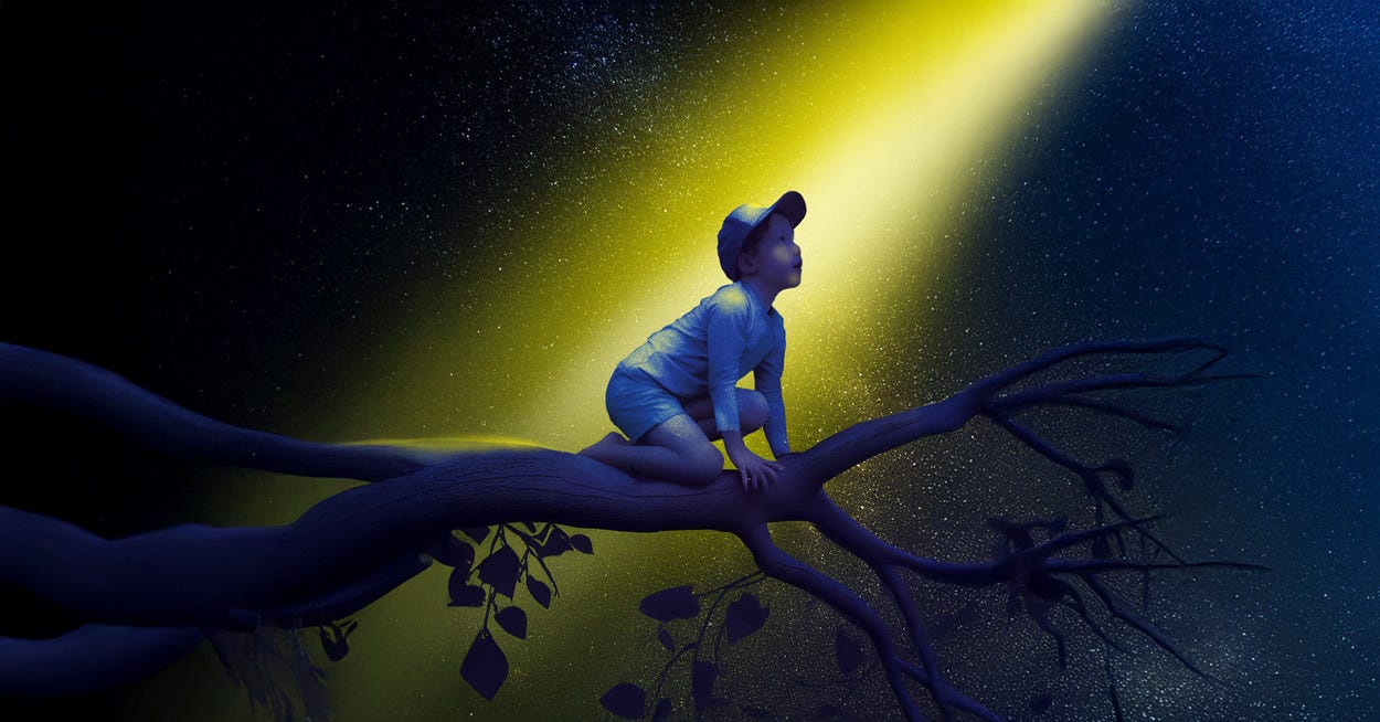 Seeking the light