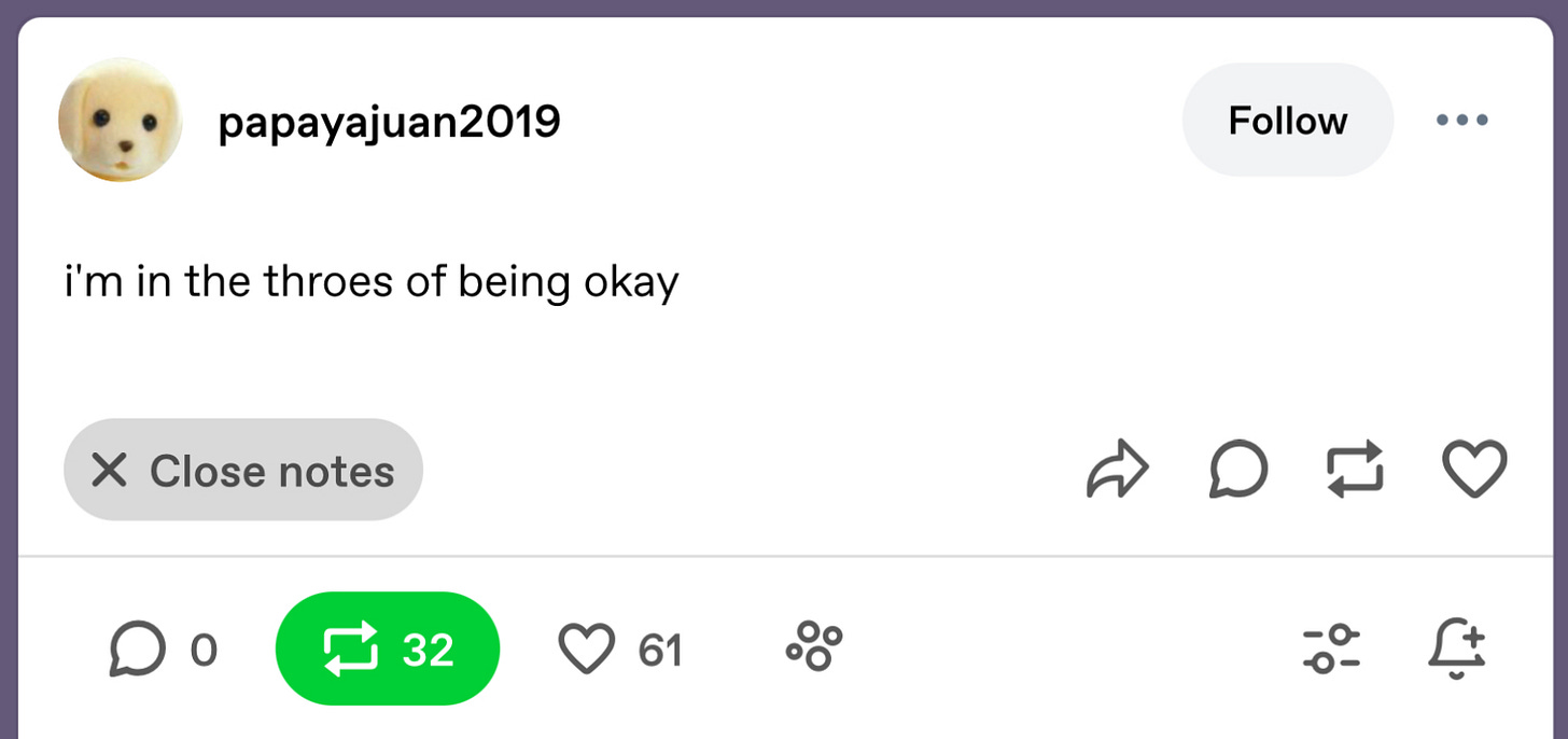 A tumblr post screenshot that says “in the throes of being okay”