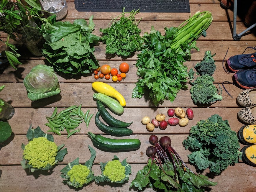 front porch full of CSA local produce