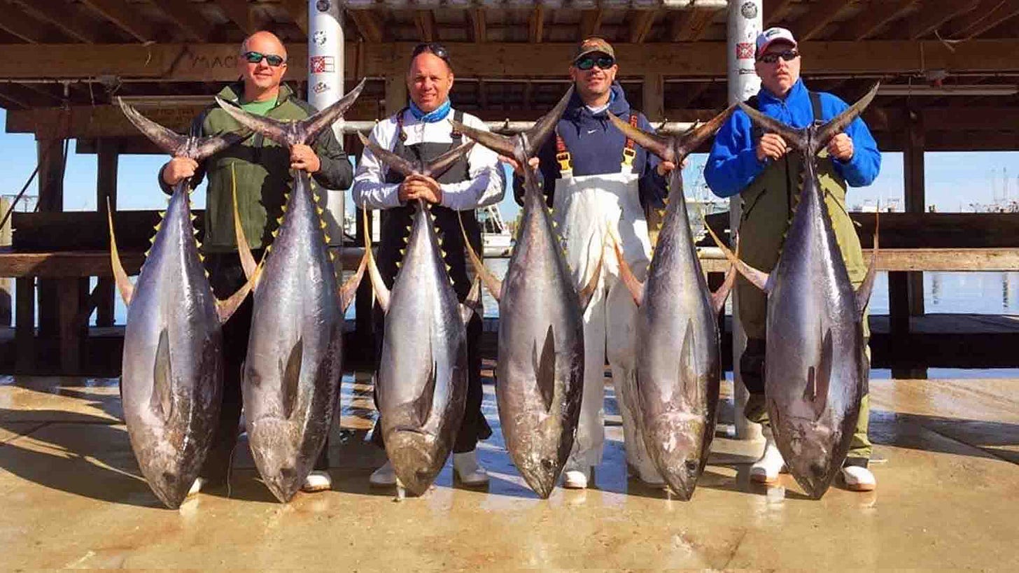 Four Anglers with Six Tuna at Sportsman's Lodge in Venice, Louisiana.