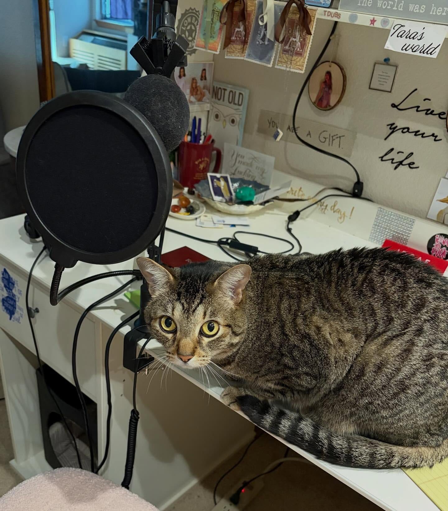 May be an image of text that says 'TDUBS Tne world was hei *garas Taras world HaлK life day!'