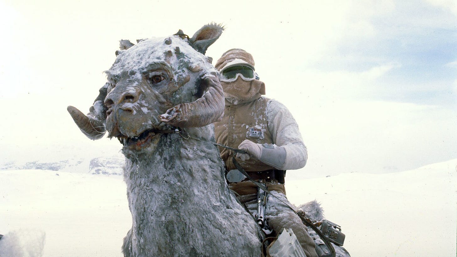 Luke Skywalker riding a TaunTaun on Hoth in The Empire Strikes Back