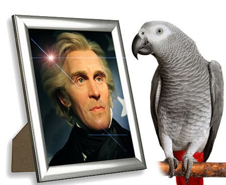 Andrew Jackson's pet bird, Poll, swore like a sailor. Andrew Jackson's pet bird, Poll, swore like a sailor.
