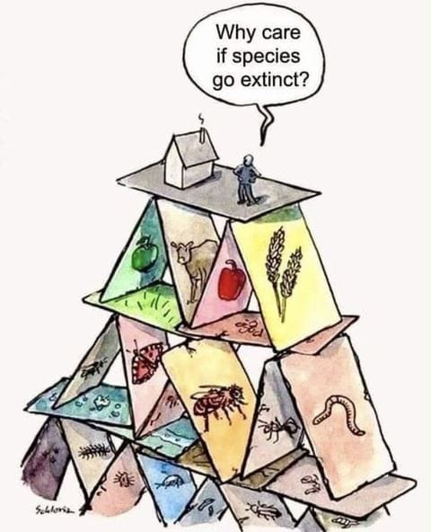 Man standing on house of cards made of species and ecosystems. "Why care if species go extinct?" he says. Art by Stefan Haller. Man standing on house of cards made of species and ecosystems. "Why care if species go extinct?" he says. Art by Stefan Haller.