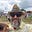Gary Beals's avatar