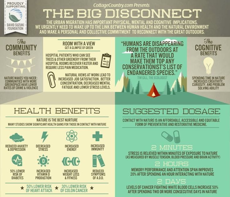 The incredible health benefits of getting outdoors. This shouldn't surprise  us. Aren't we all drawn to the b… | Nature, Survival prepping diy, How to  stay healthy