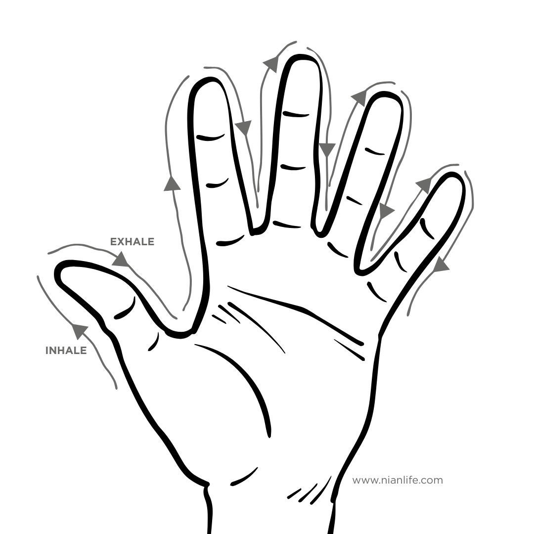 Take A Pause Ep. 47 - Finger Meditations | Finger Breathing | Nian Life | Erin Lee | Mindful Moments