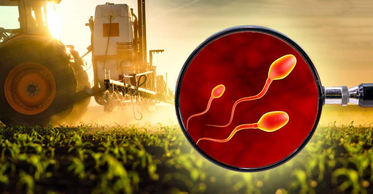 pesticides and sperm