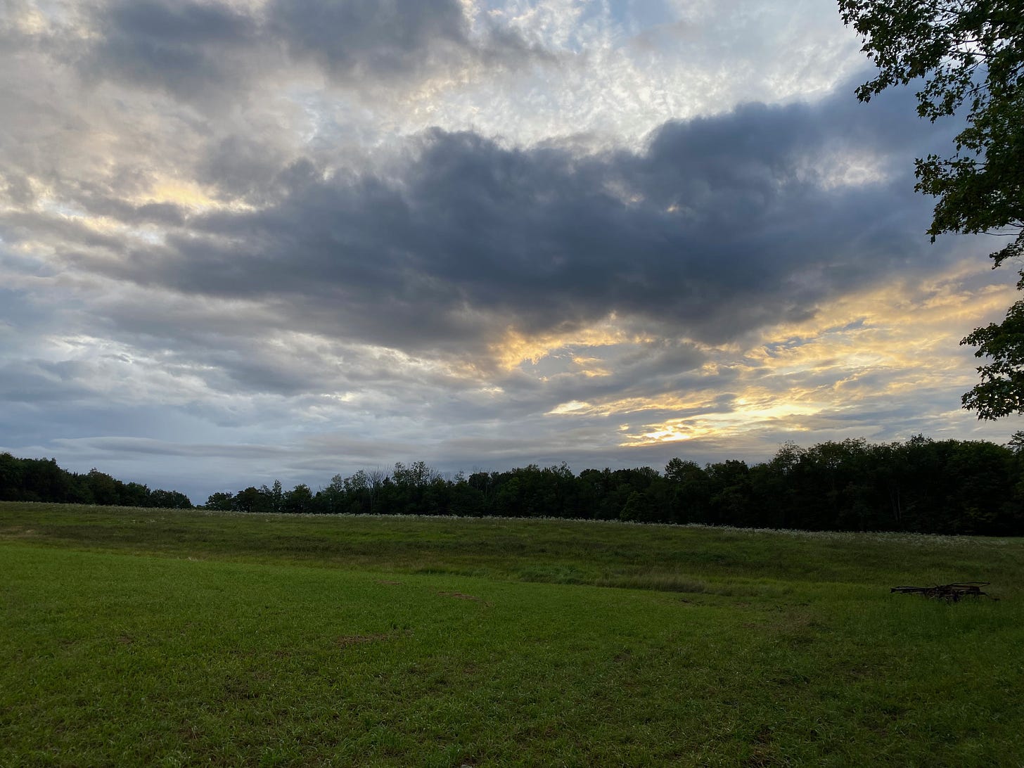 Sunrise over a green pasture. The clouds are dark and dramatic, with streaks of gold and orange on the horizon.