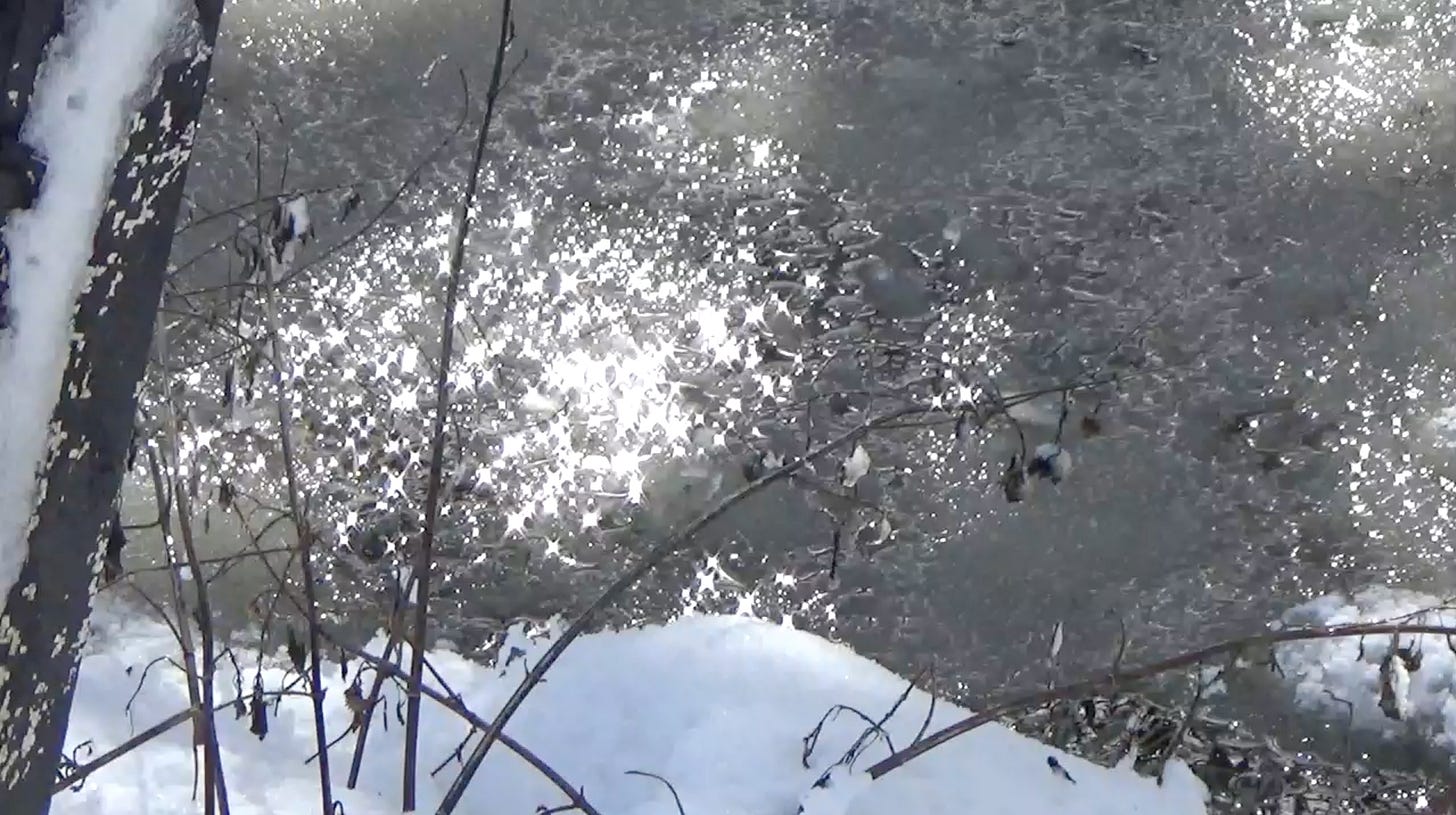 Photo - a pond, with bits of ice, and silver / bright reflections of the sun. in the foreground a small pach of snow, bottom of image, with some brown twigs a pond with bits of ice and silver grey reflections of the sun. in the foreground a small patch of snow, bottom of image, with some brown twigs