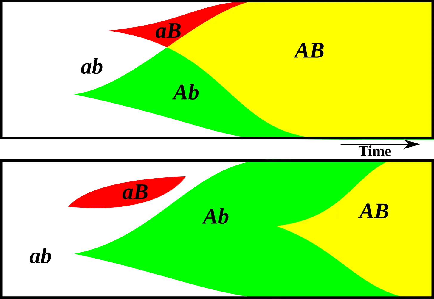 Post image 8