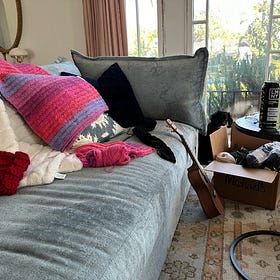 Looking for Long COVID Zen