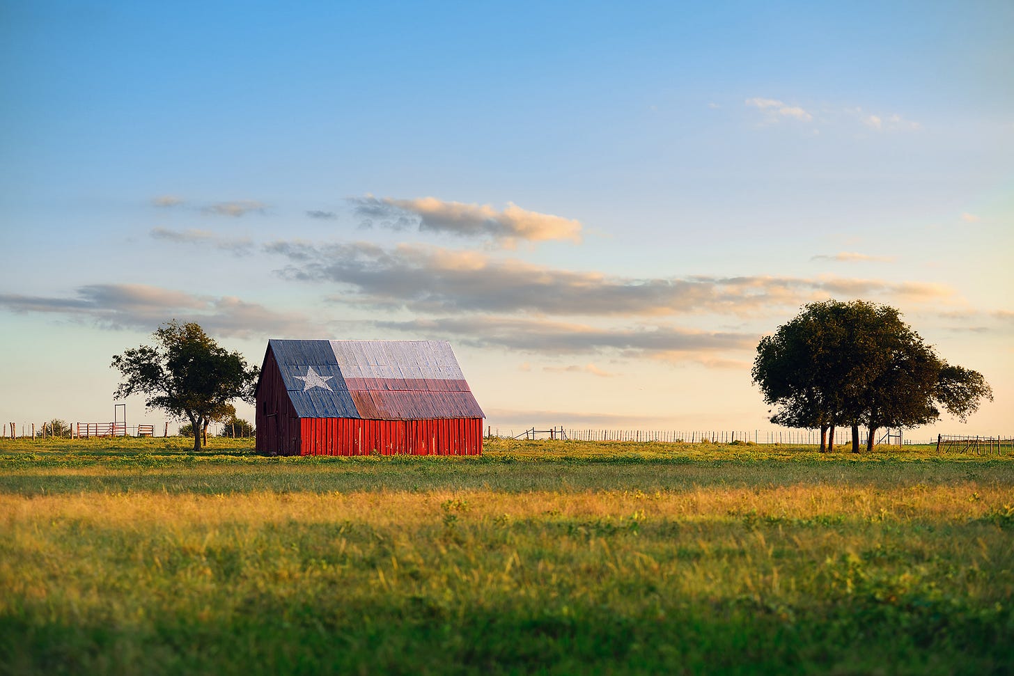A barn painted like the Texas flag in a field as sunset.
